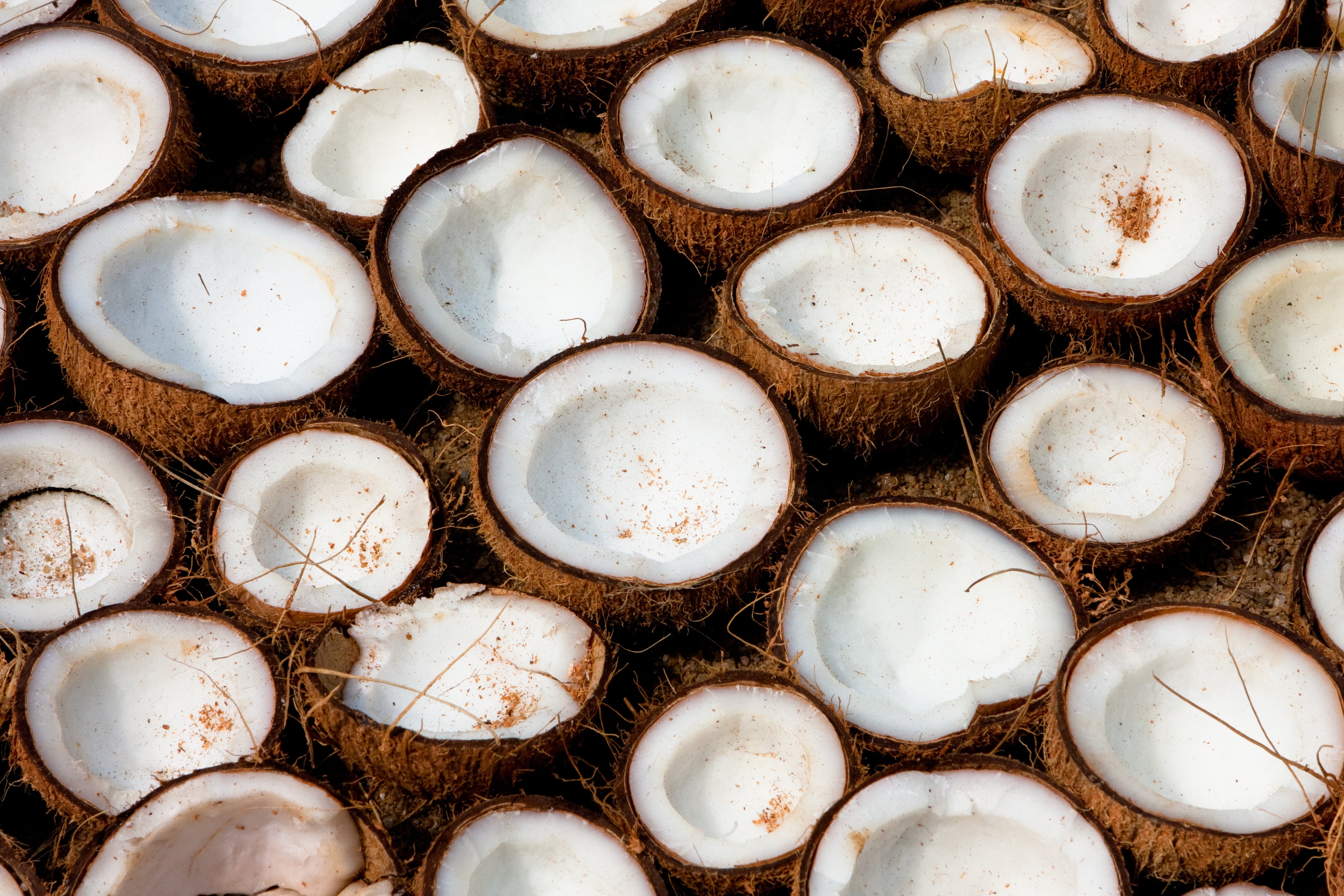 Coconut