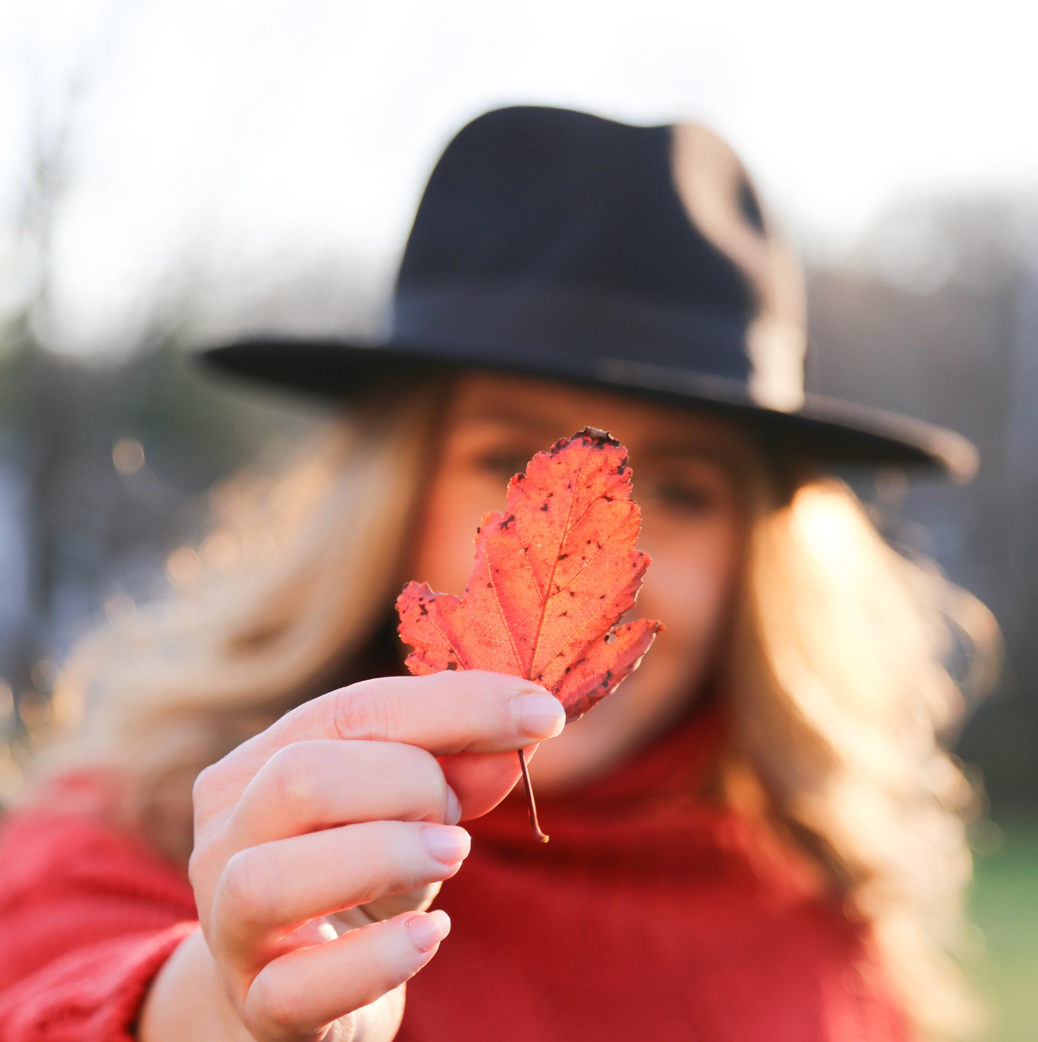 Indie's Fall Go To Products