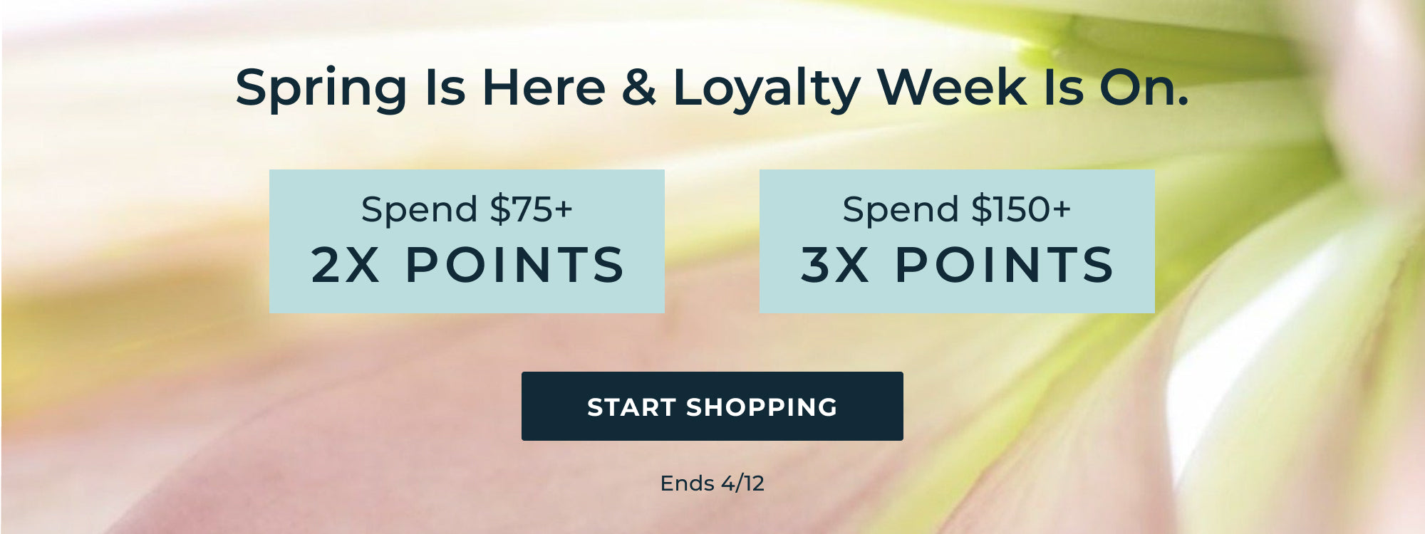 Promotional banner for a loyalty program with text and buttons on a blurred background.