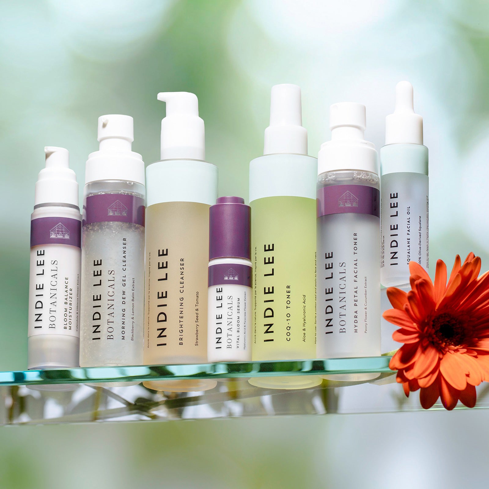 Indie Lee skincare products on a shelf with a red flower in the foreground