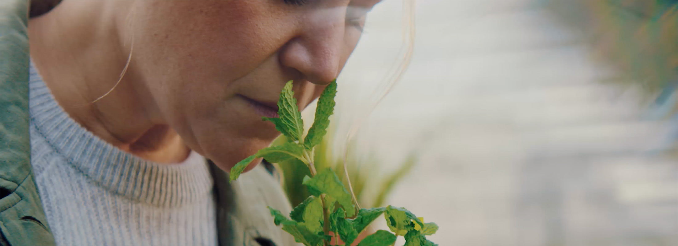 Indie Lee Skincare Clean Ingredients