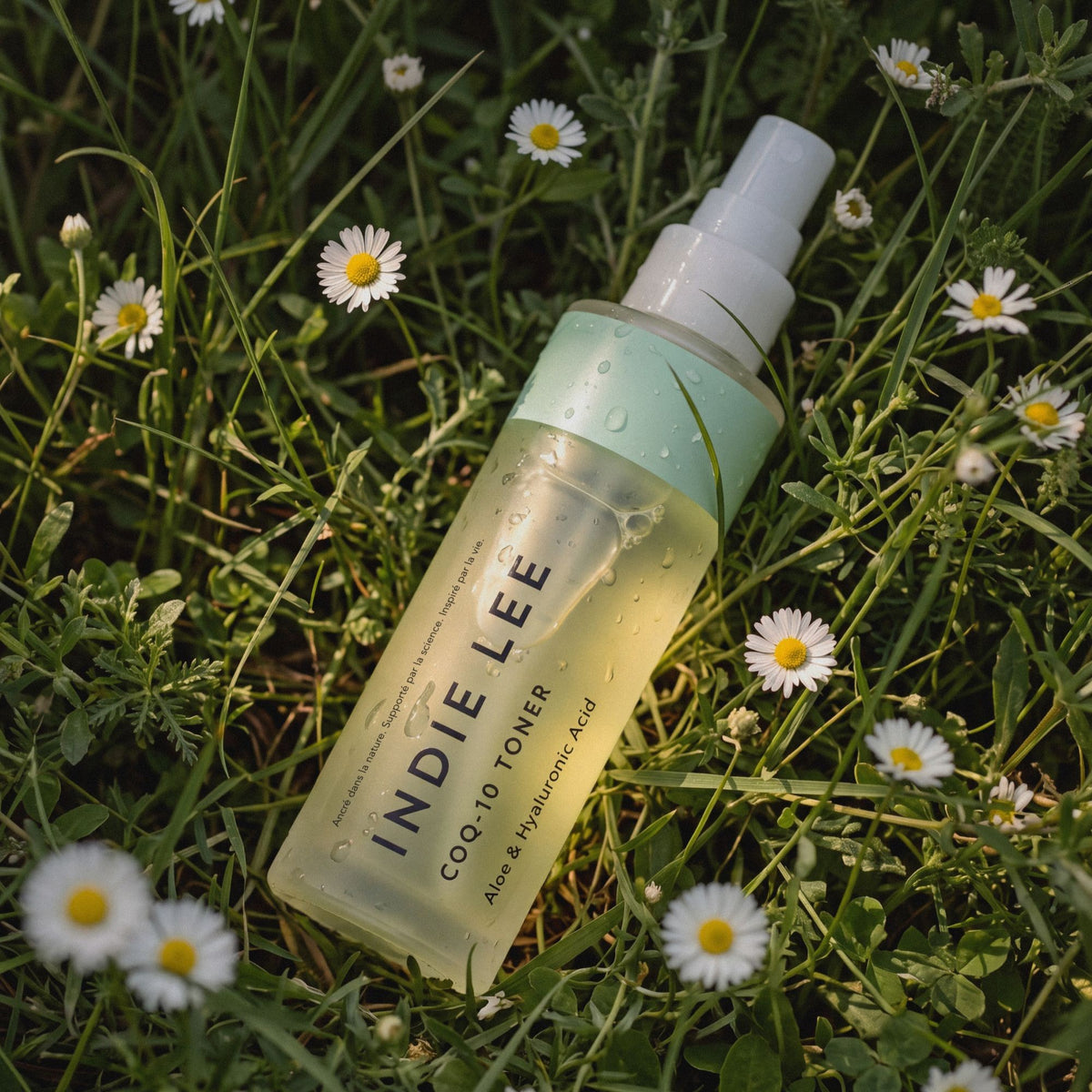 A bottle of Indie Lee COQ-10 Toner lies on a bed of green grass and small white daisies. The bottle is translucent with a pale yellow liquid inside, a mint green band near the top, and a white spray nozzle.