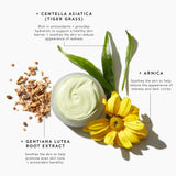 Benefits of ingredients in Indie Lee Color Balancer