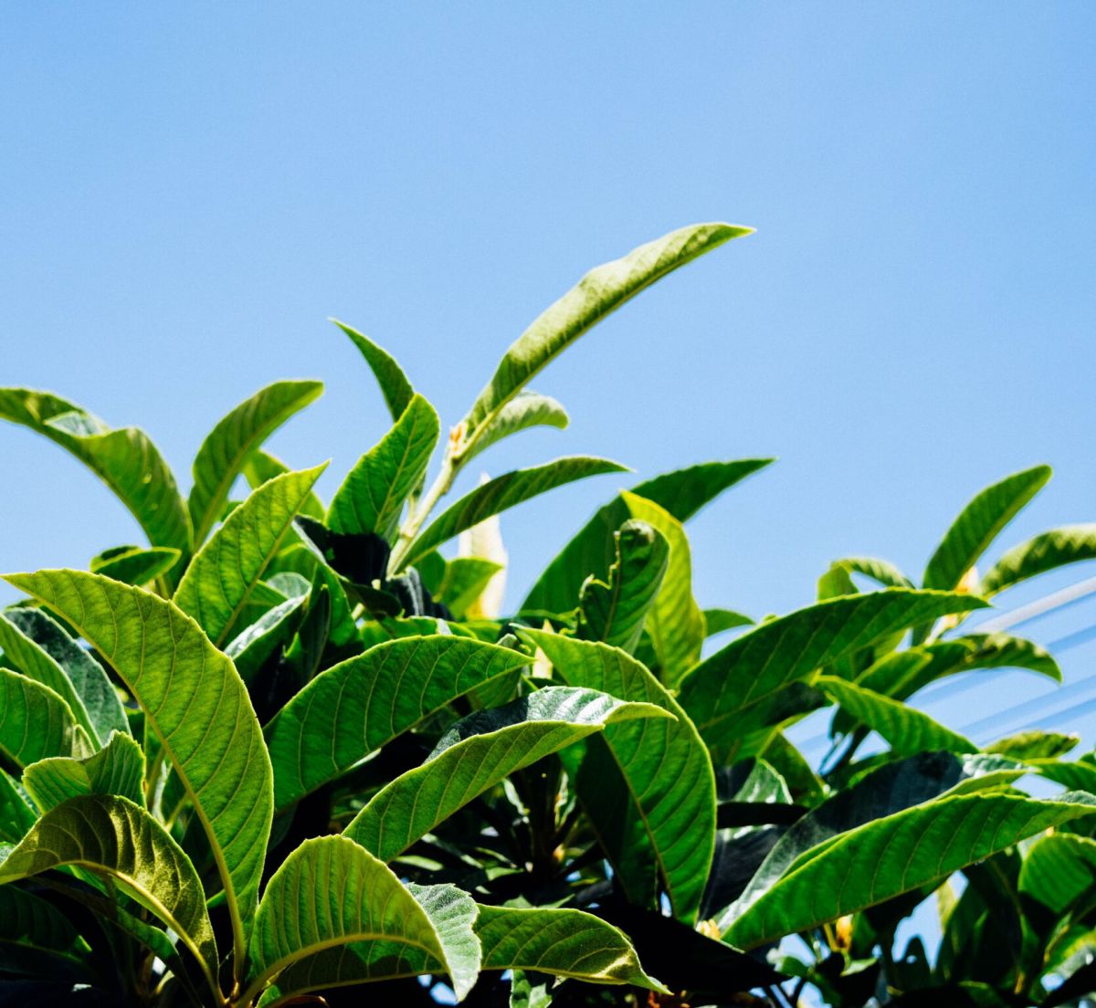 Sustainable Swaps from Team Indie